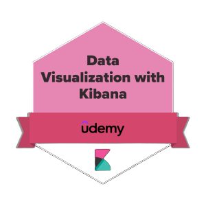 Data Visualization with Kibana