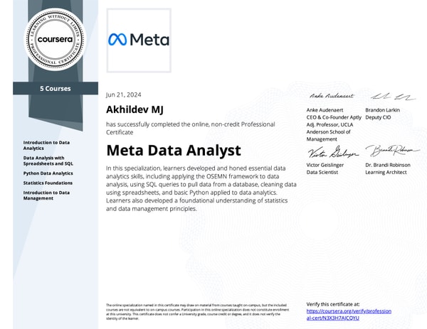 Meta Data Analyst Professional Certificate